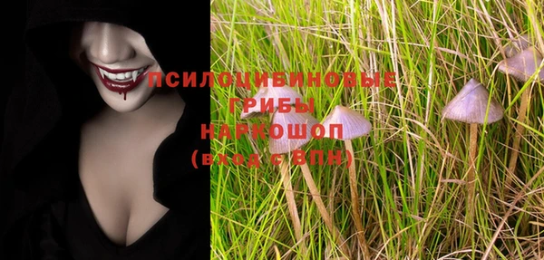 молекула духа Алексеевка