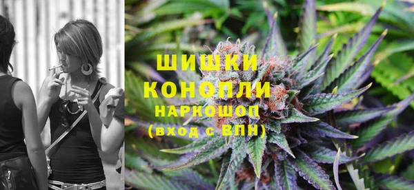 молекула духа Алексеевка