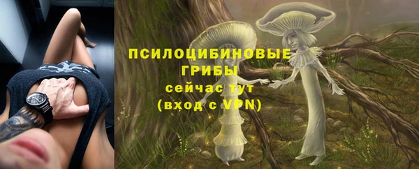 молекула духа Алексеевка