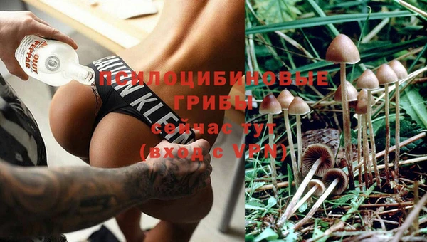 альфа пвп Горно-Алтайск